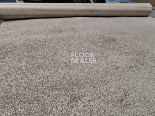 Ковролин Innova Династия DY 137 фото 1 | FLOORDEALER